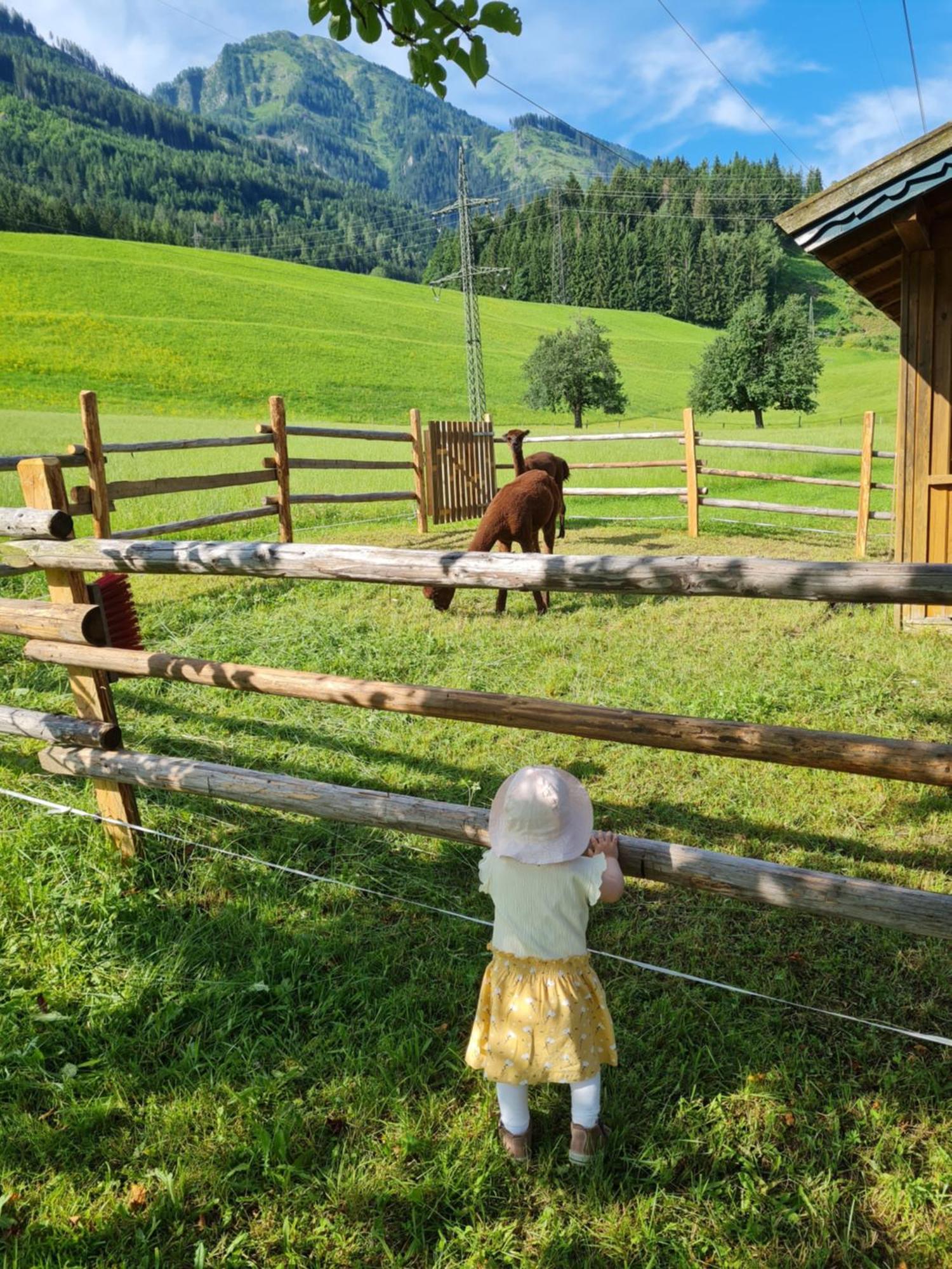 Ferienparadies Taxen Sankt Veit im Pongau Esterno foto